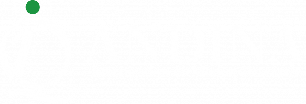 IQ Andina Logo